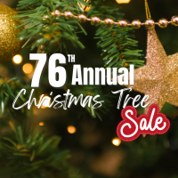 OC-ChristmasTreeSalePost